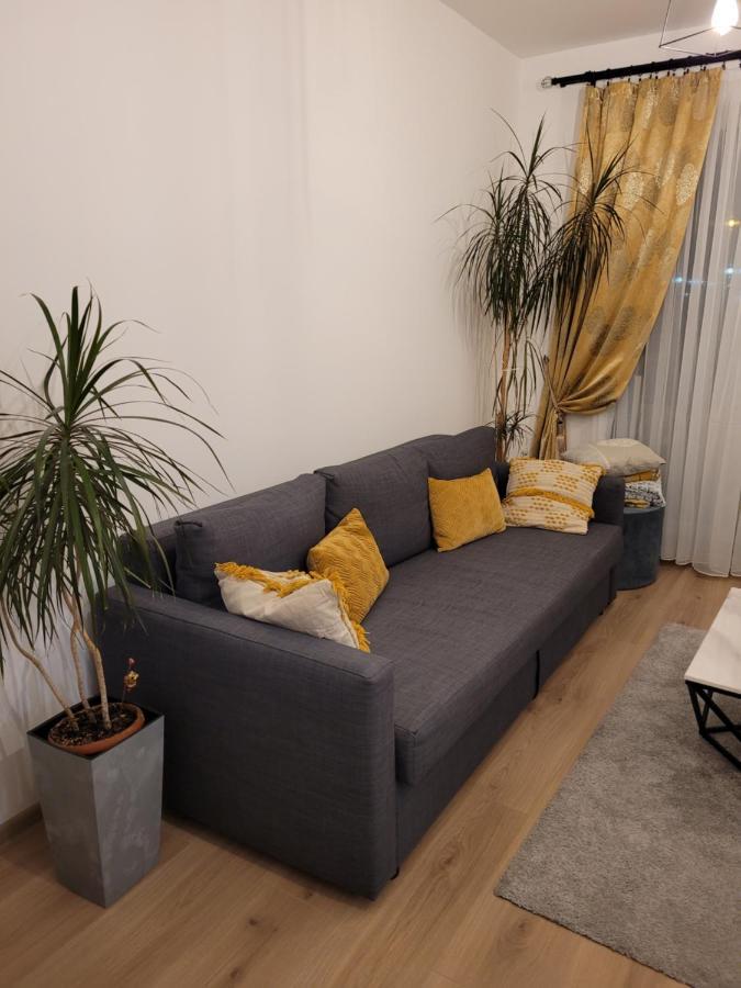 Apartamento 4Qualis Braşov Exterior foto